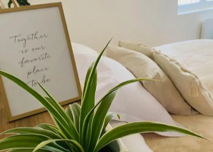 Maison De Avec Terrasse Льон-сюр-Мер